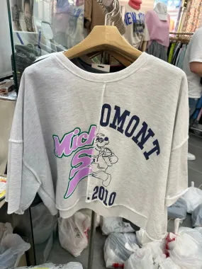 WS2023APR310